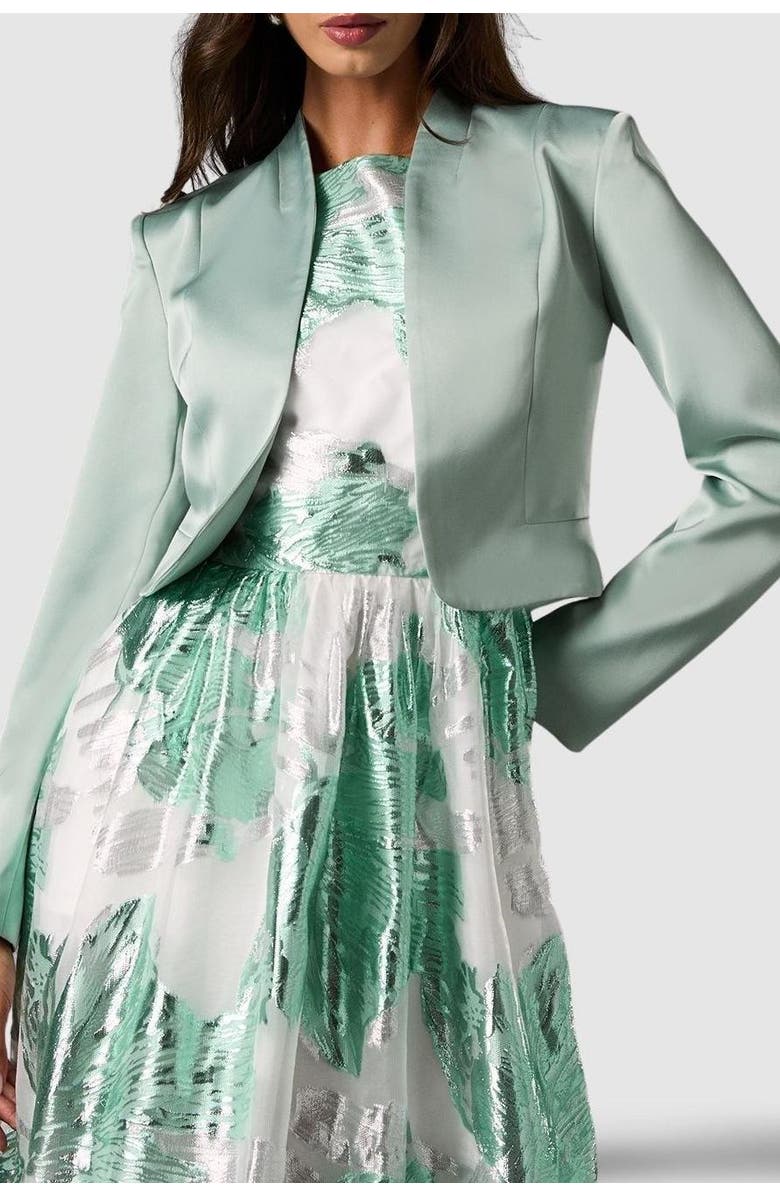 Coast Crop Satin Jacket, Alternate, color, Sage