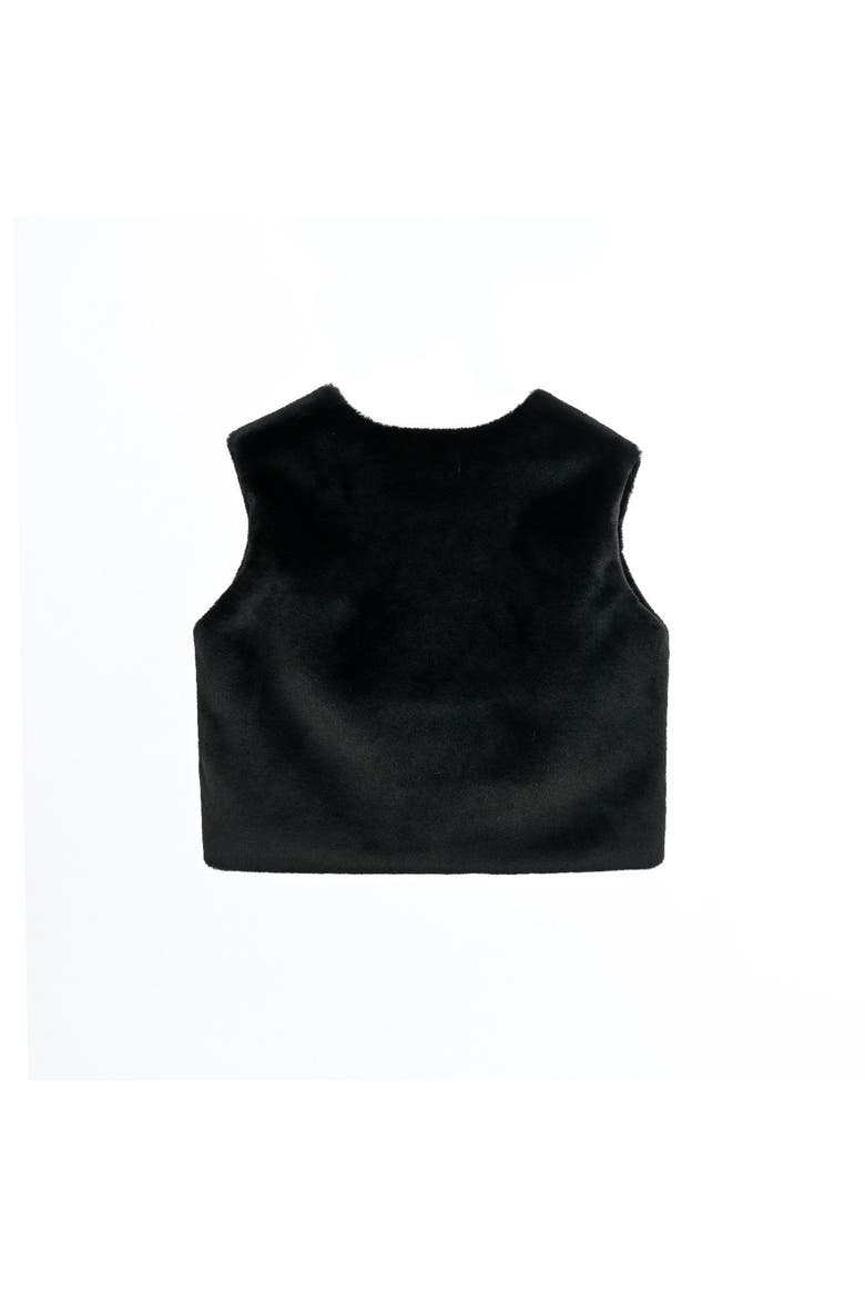 Tivoli Plush Fur Vest, Alternate, color, Black