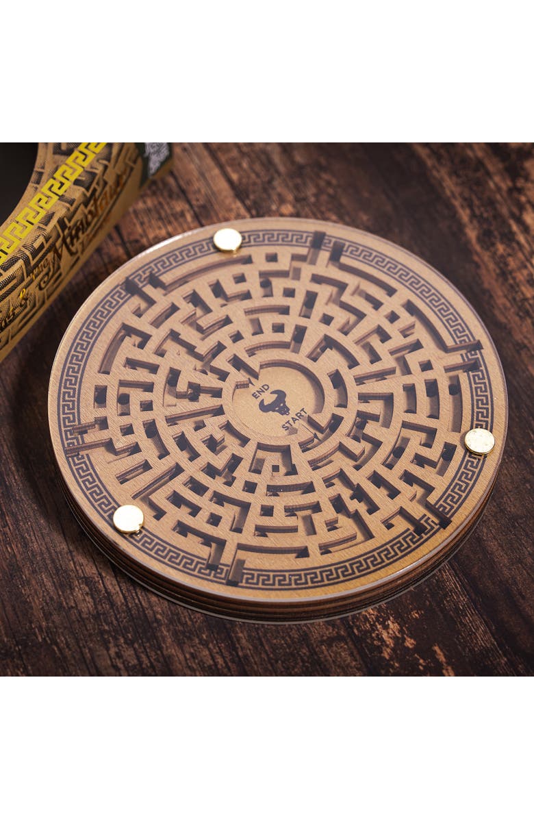 Professor Puzzle Theseus and The Minotaur 3D Wooden Brainteaser Puzzle, Alternate, color, Multicolored