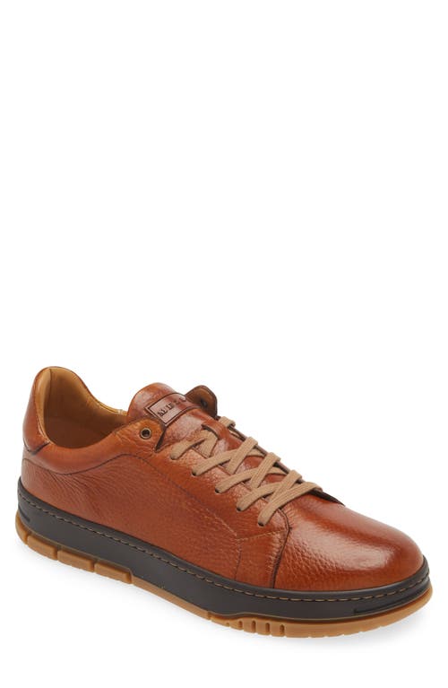 Mezlan Grazia Sneaker in Dark Cognac 