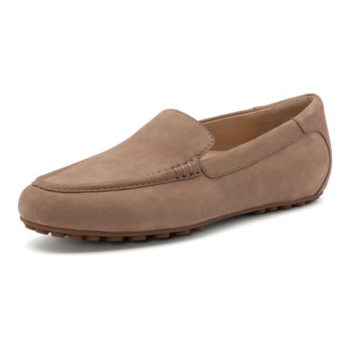 Abeo Harbor In Dark Beige Nubuck - Regular