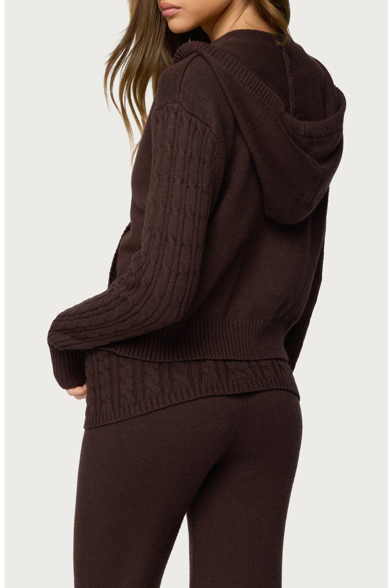 Lula Cable Knit Hooded Zip-Up Cardigan, Alternate, color, BROWN