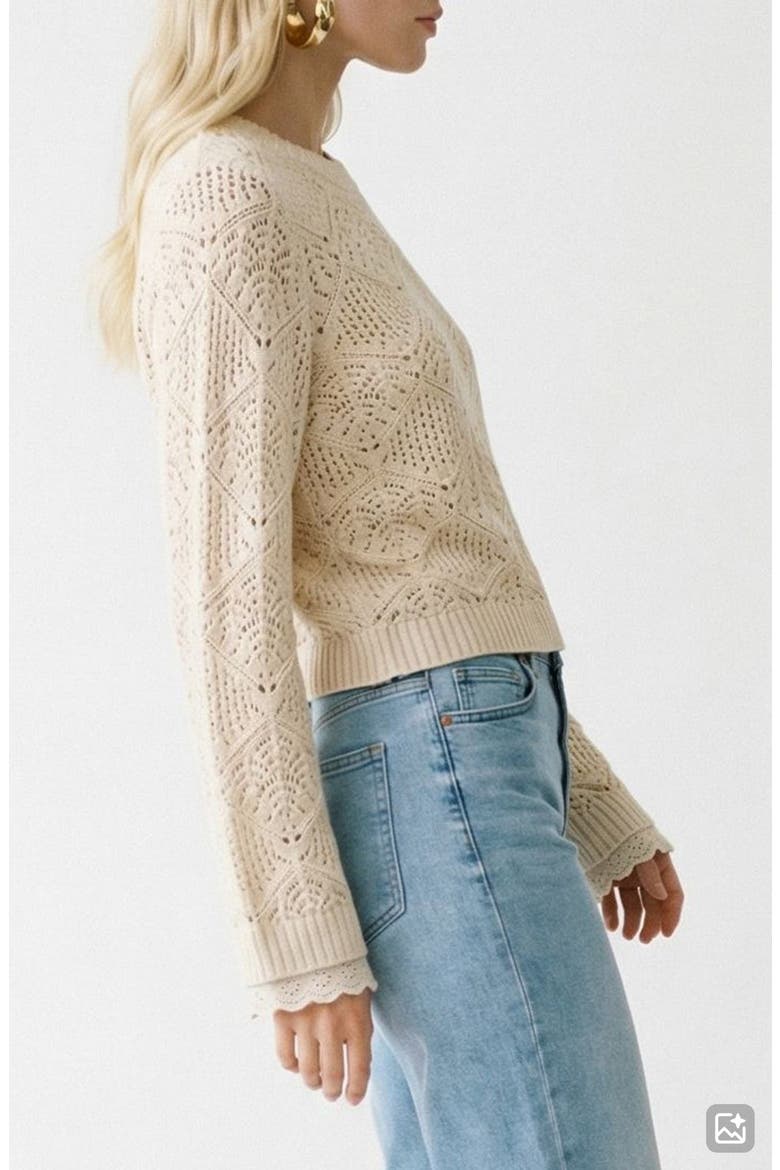 Susana Pointelle Cotton Blend Sweater, Alternate, color, BIRCH