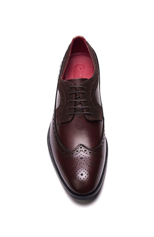 Carlos Santana Felix Wingtip