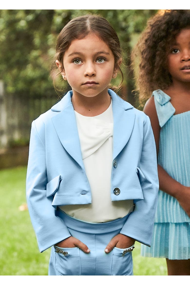 Cropped Jacket, Alternate, color, Blue