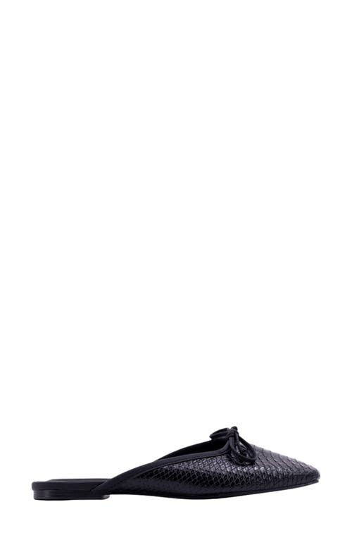 Shop Shushop Andrea Slide Flat
