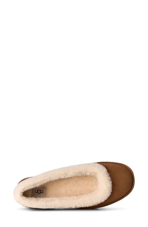Ugg(r) Zora Genuine Shearling Trim Ballet Flat In Brown