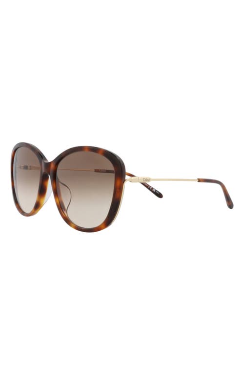 Chloé 59mm Square Gradient Sunglasses In Brown