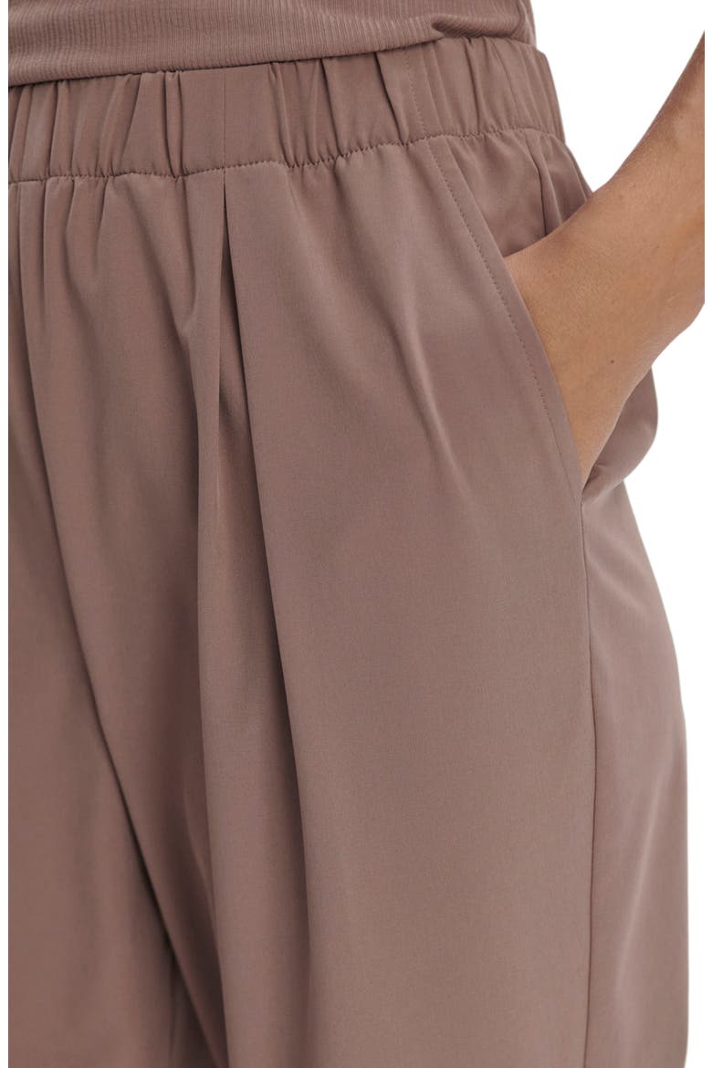 Alana Slim Tapered Pants, Alternate, color, ANTLER