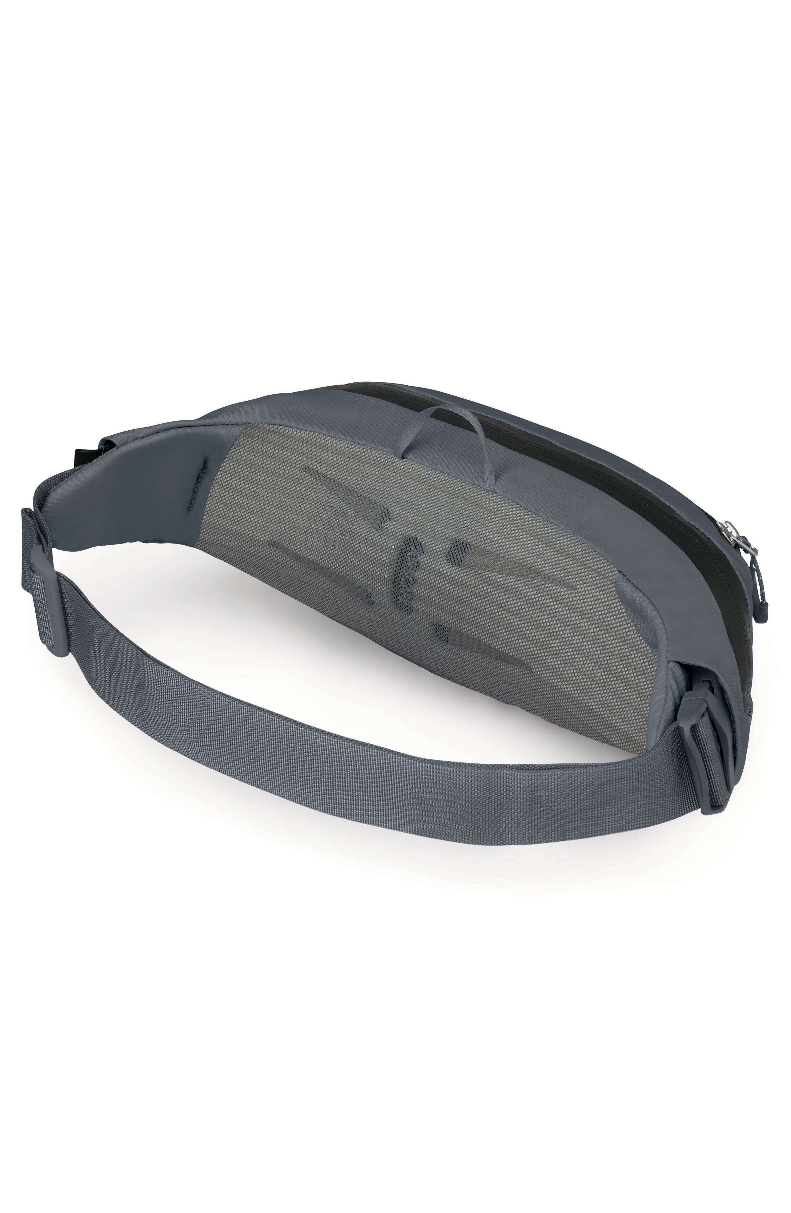 Osprey Daylite Waist Pack, Alternate, color, Tungsten Grey