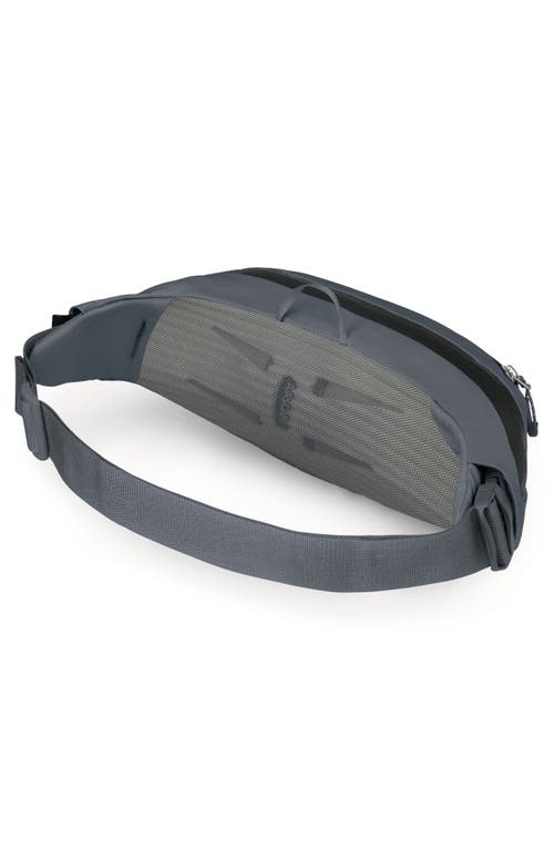 Osprey Daylite Waist Pack In Gray