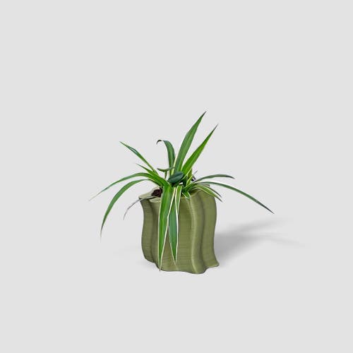 Form & Seek Frosting Short Planters In Green