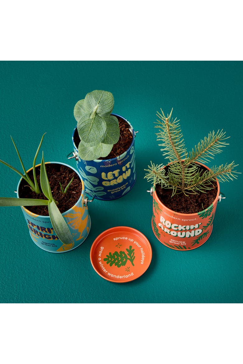 Holiday Complimentary Color Grow Kit 3 pack, Alternate, color, Assorted