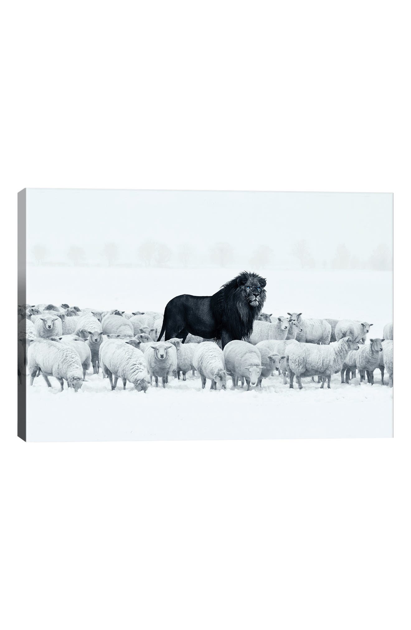 iCanvas Lion Among Sheep by Ruvim Noga | Nordstromrack