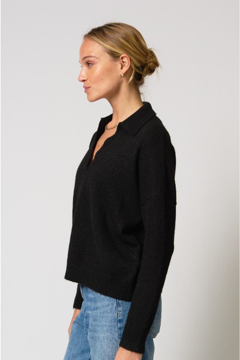 Robbie V-Neck Polo, Alternate, color, Black