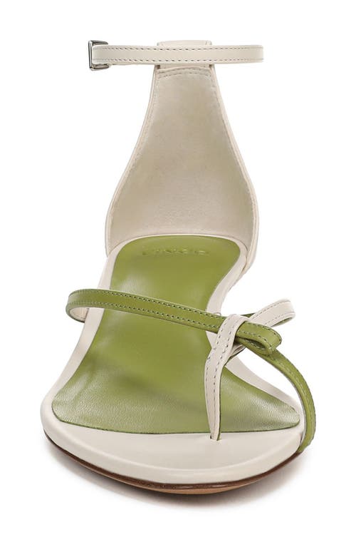 Vince Siri Ankle Strap Kitten Heel Sandal In Flax/herb