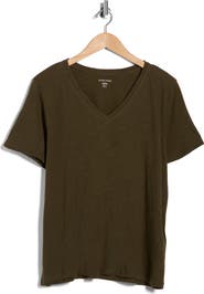Eileen Fisher Easy V-Neck Organic Cotton T-Shirt