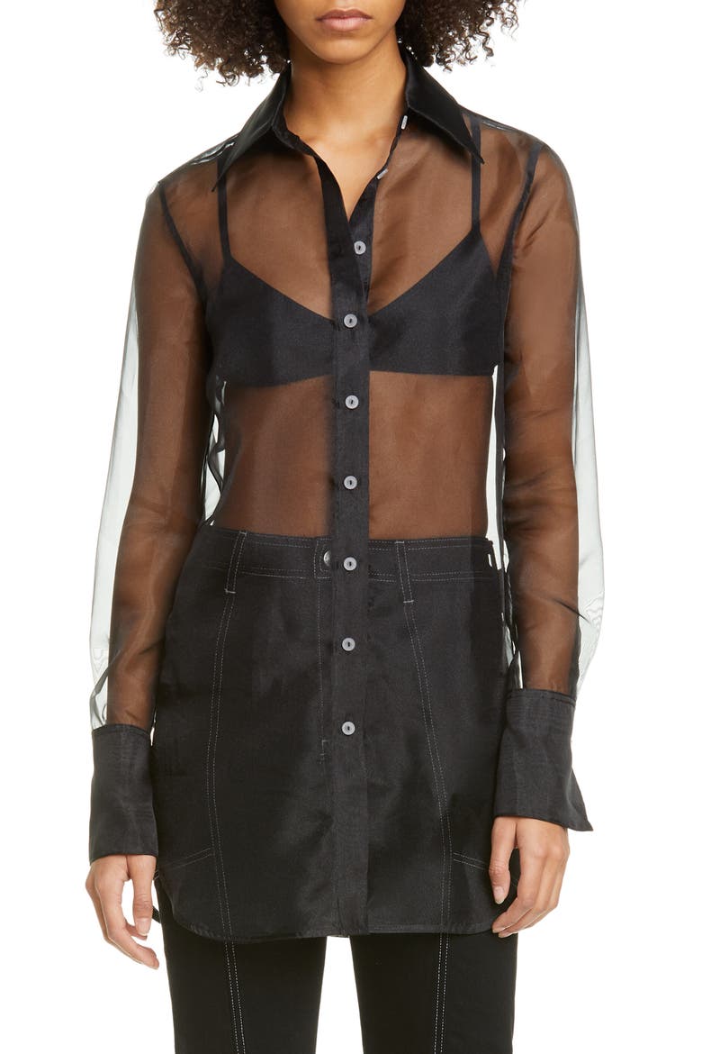 Rowena Sheer Long Sleeve Shirt, Main, color, BLACK