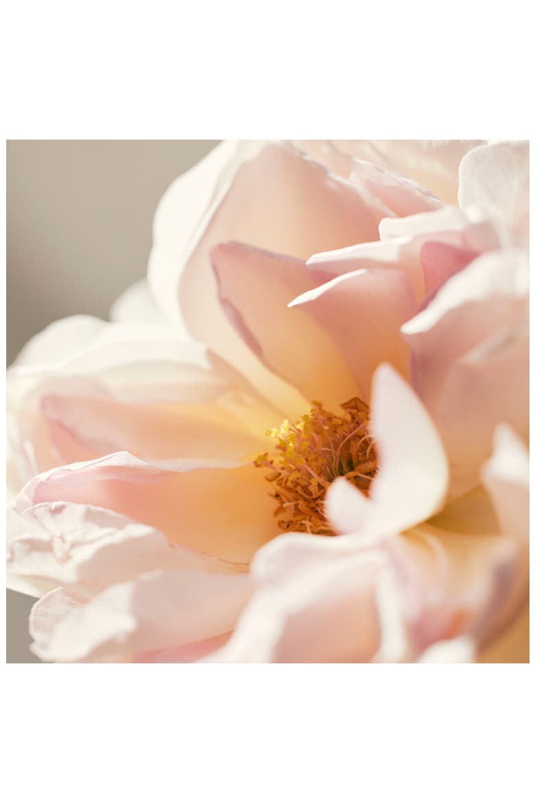 Roses de Chloé Eau de Toilette Spray, Alternate, color, NO COLOR