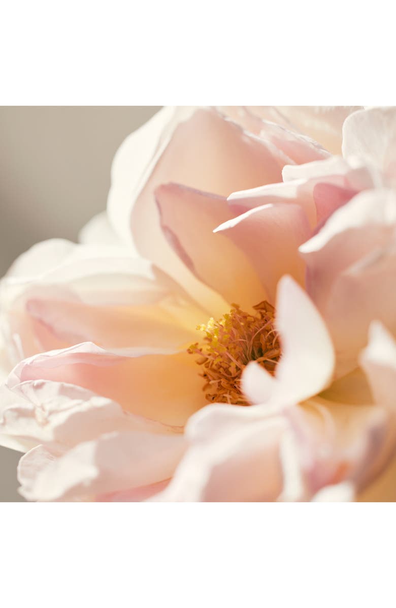 Chloé Roses de Chloé Eau de Toilette Spray, Alternate, color, 