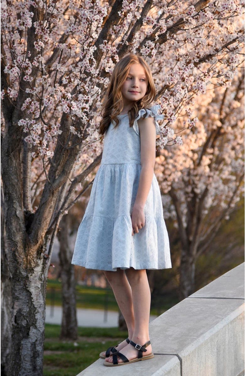 Hope & Henry Girls' Organic Tiered Eyelet Dress, Toddler, Alternate, color, 