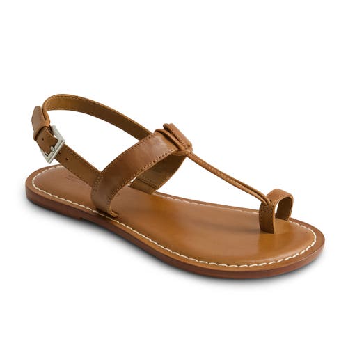 Bernardo Footwear Maverick 2 Toe Loop Sandal In Luggage