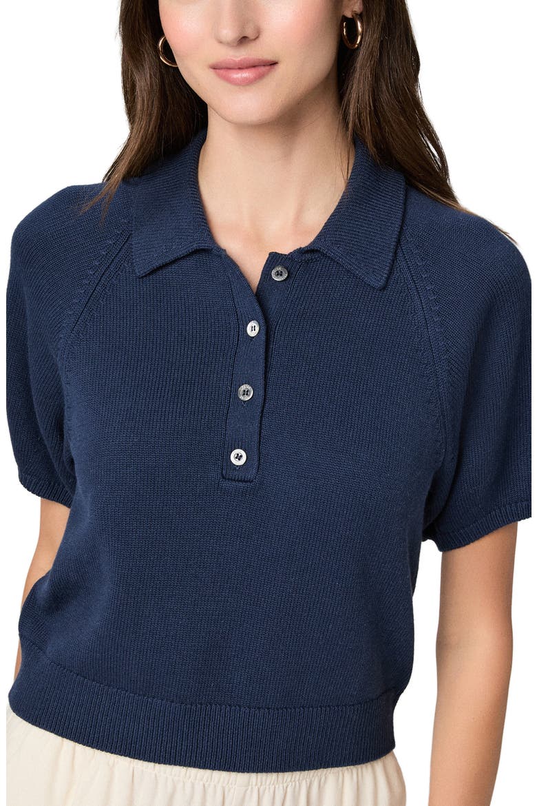 Birch Polo Sweater, Alternate, color, NAVY