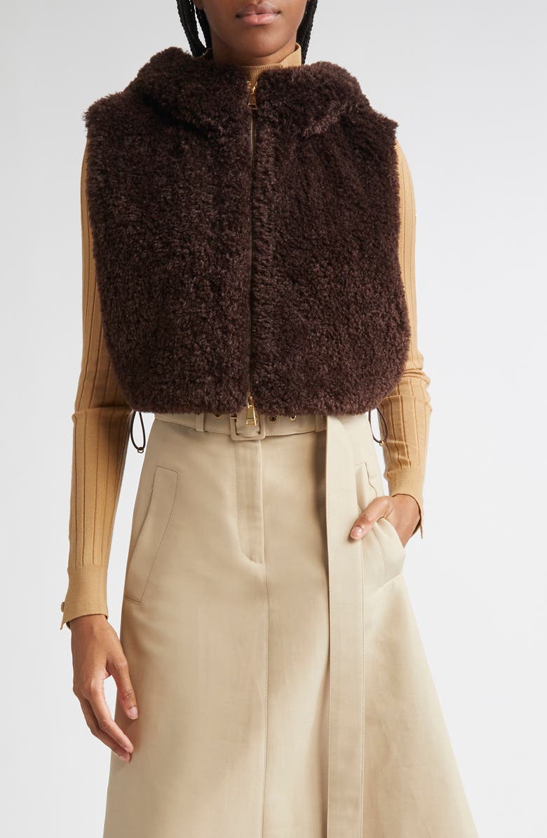 Moncler Teddy Fleece & Quilted Down Vest, Main, color, Raisin