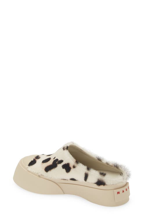 Marni Pablo Leather Mule Sneaker In Gray