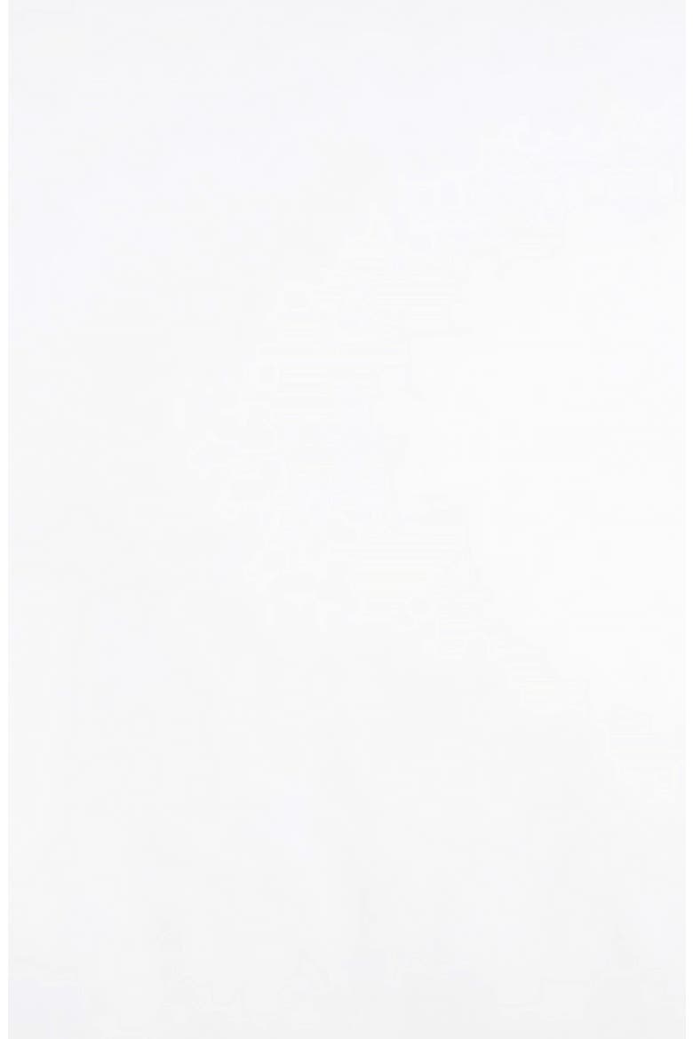 Down Feather Chamber Pillow, Alternate, color, WHITE