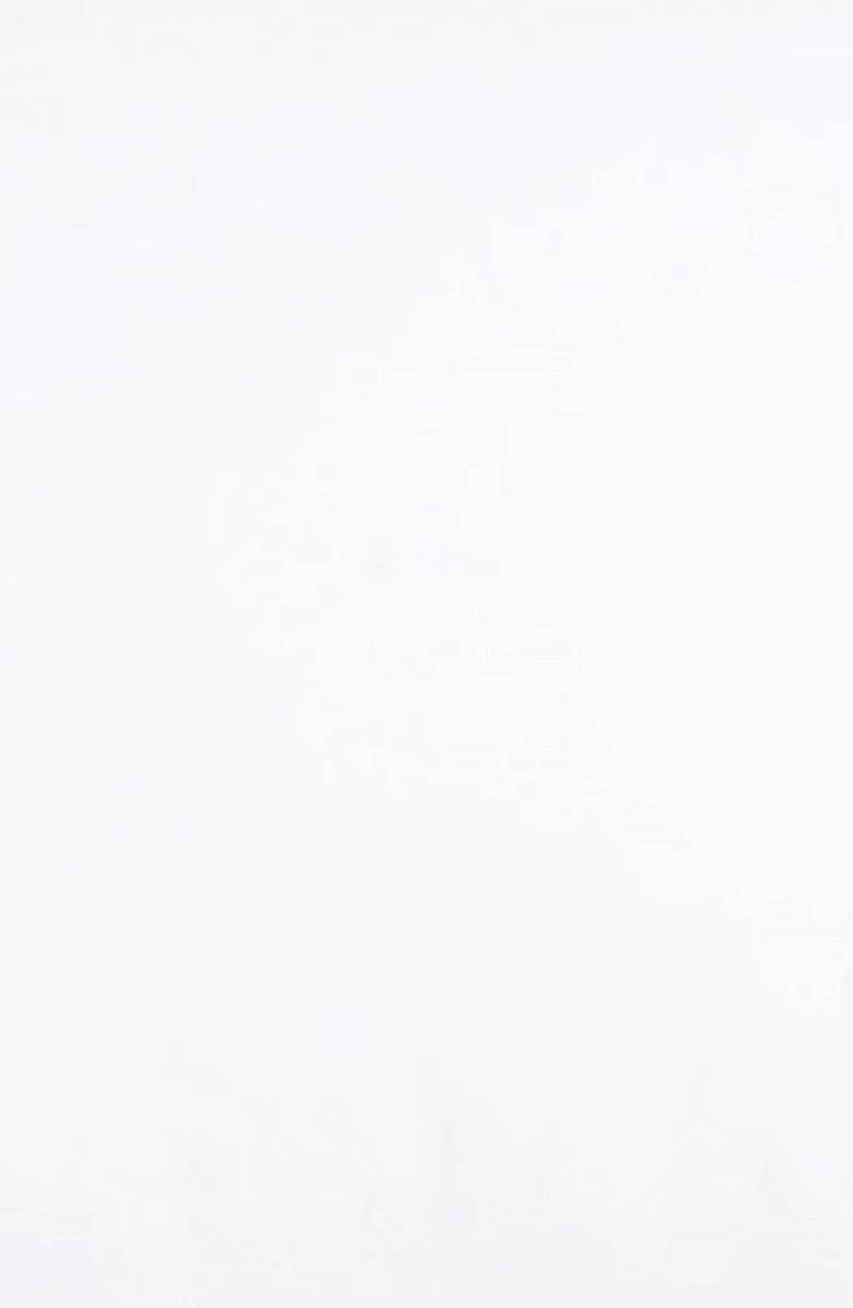 Nordstrom Down Feather Chamber Pillow, Alternate, color, 