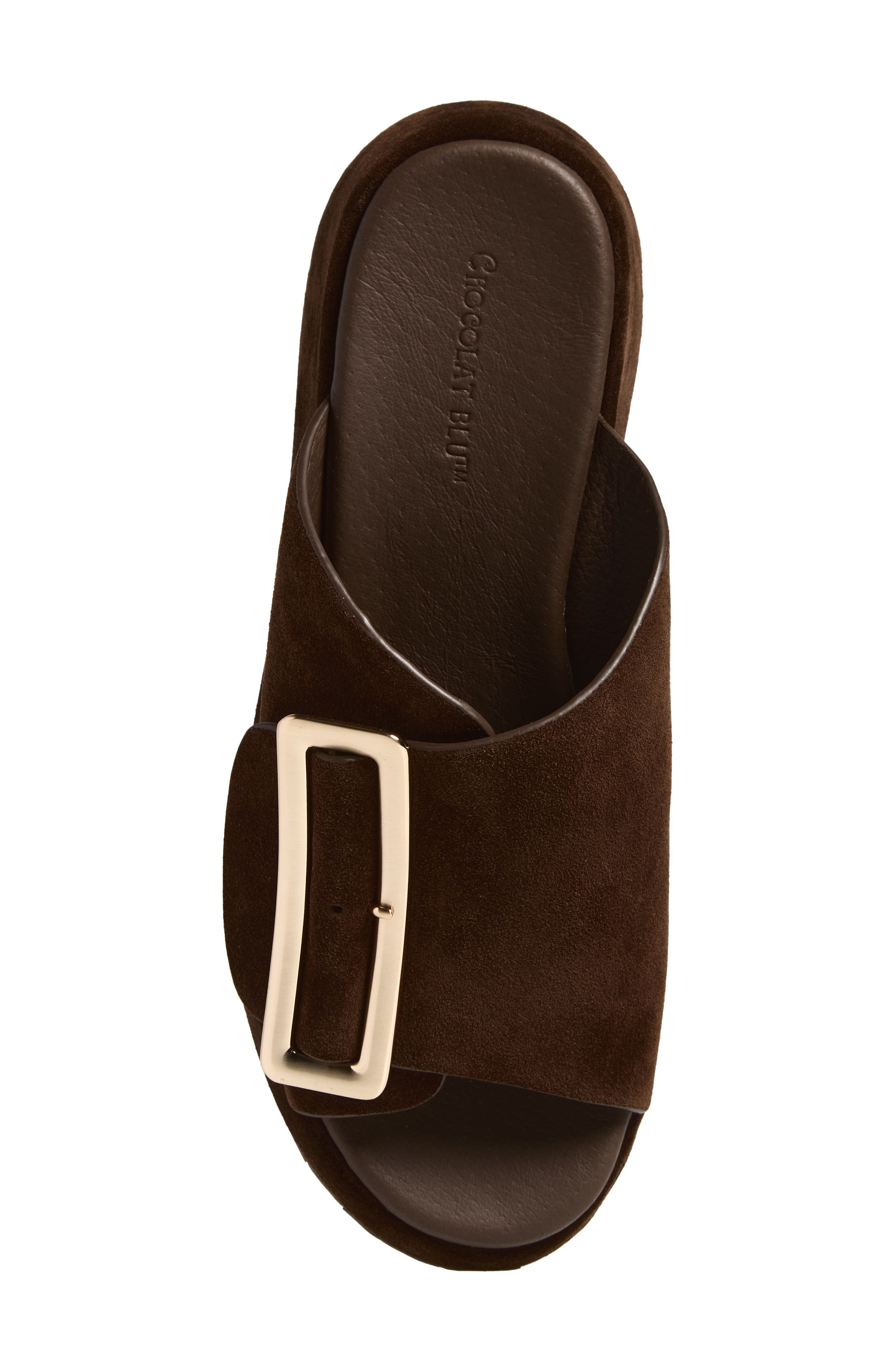 Elara Platform Slide Sandal, Alternate, color, CHOCOLATE SUEDE