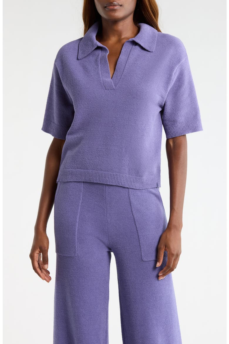 Keslyn Johnny Collar Knit Polo, Main, color, DUSTED IRIS