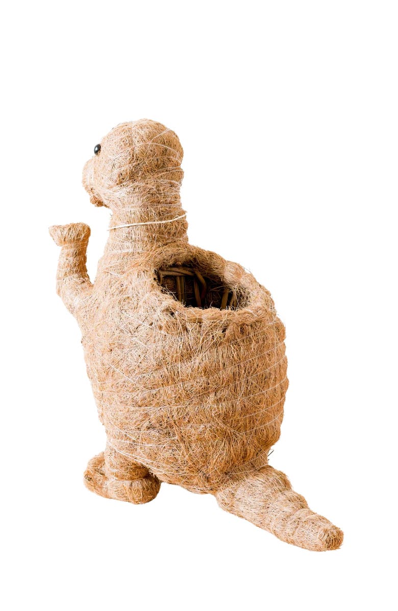 LIKHA Dinosaur Coco Coir Planters, Alternate, color, Brown