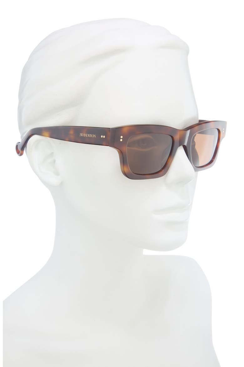 Rectangular Sunglasses, Alternate, color, HAVANA 366