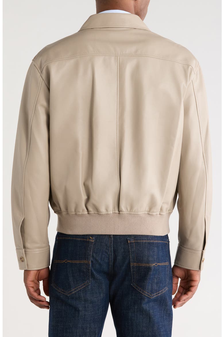 Leather Bomber Jacket, Alternate, color, DUSTY BEIGE
