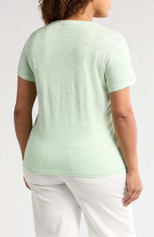 Sanctuary The Perfect T-shirt In Mint Tea