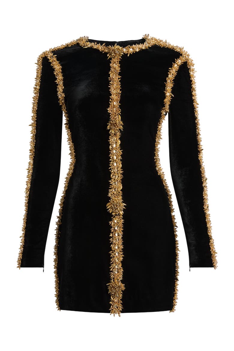 Velvet Dress with Embroidered Trim, Alternate, color, black