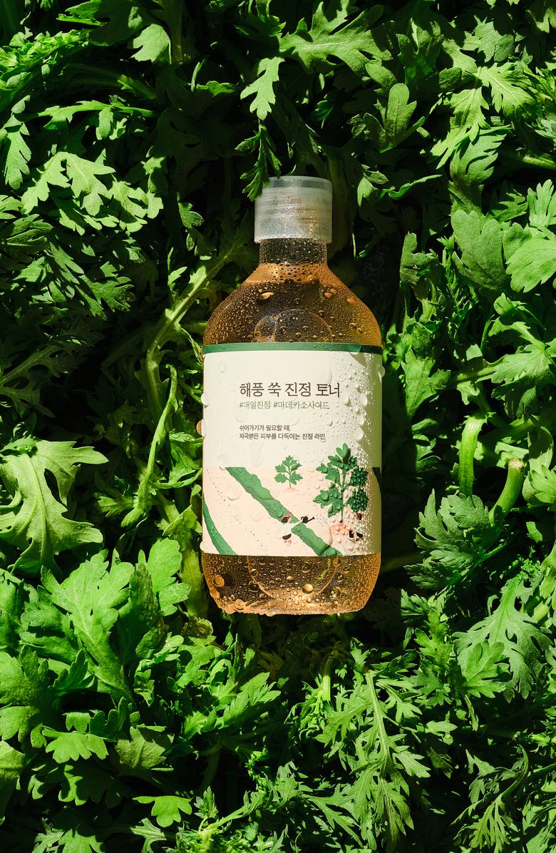 ROUND LAB Mugwort Calming Toner, Alternate, color, 