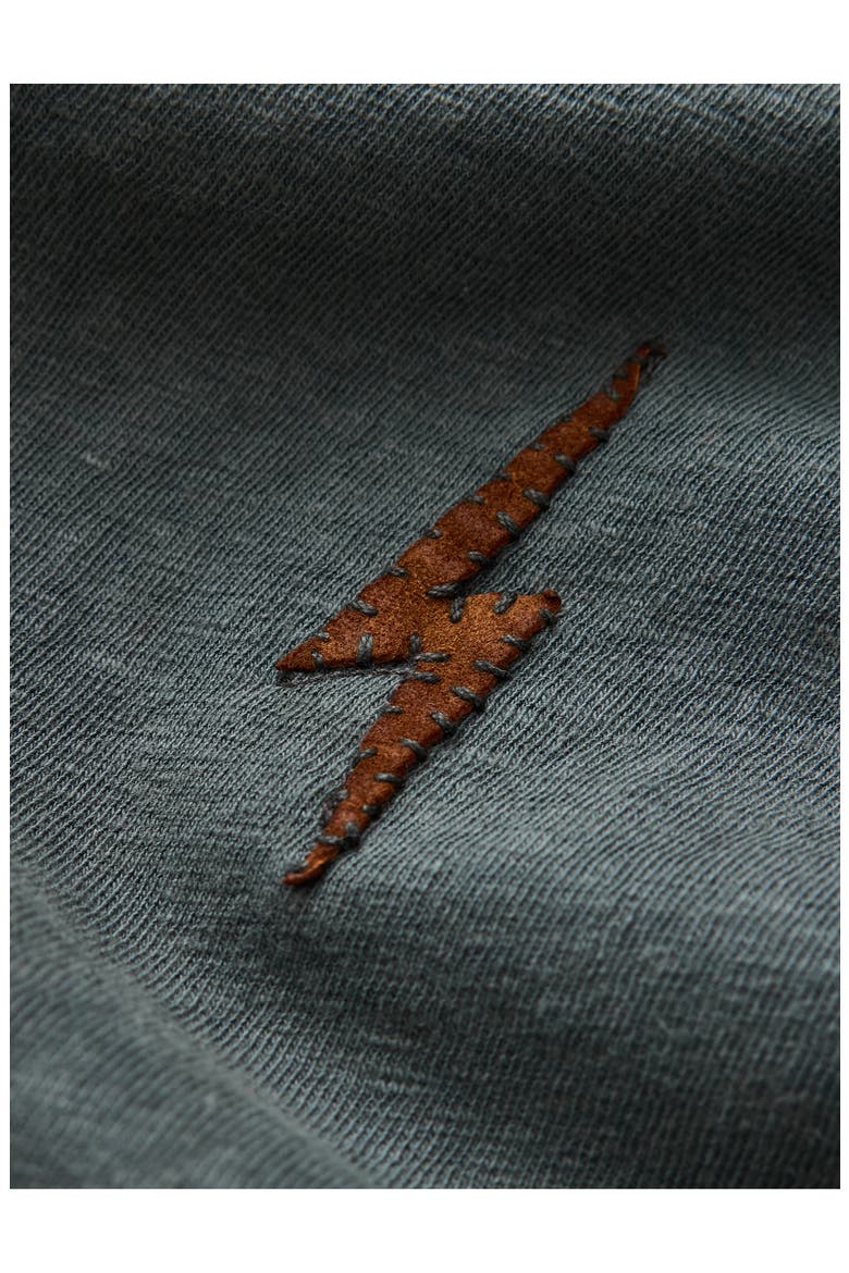 Embroidered Raw Edge Notch Neck Organic Cotton T-Shirt, Alternate, color, DRIED SAGE