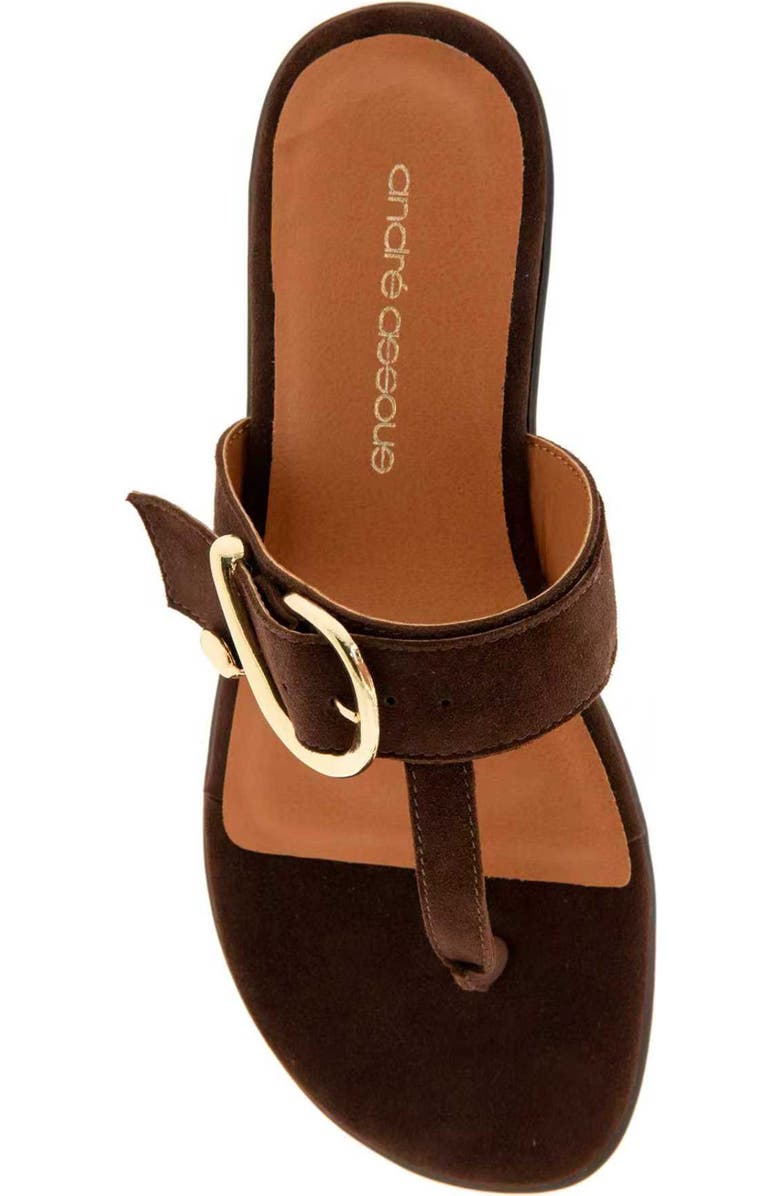 André Assous Nix T-Strap Sandal, Alternate, color,