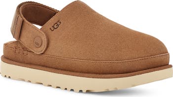 Goldenstar Clog