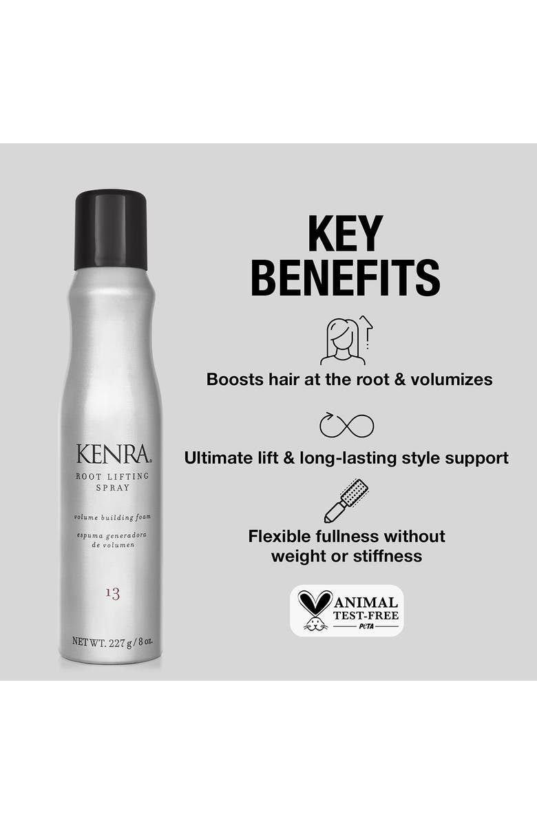 KENRA Root Lifting Spray 13 8 oz, Alternate, color, N/A