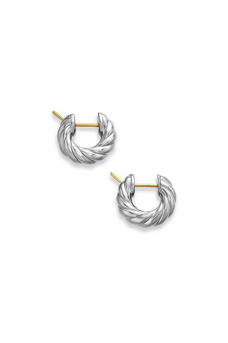 Sculpted Cable Hoop Earrings in Sterling Silver, Alternate, color, STERLING SILVER