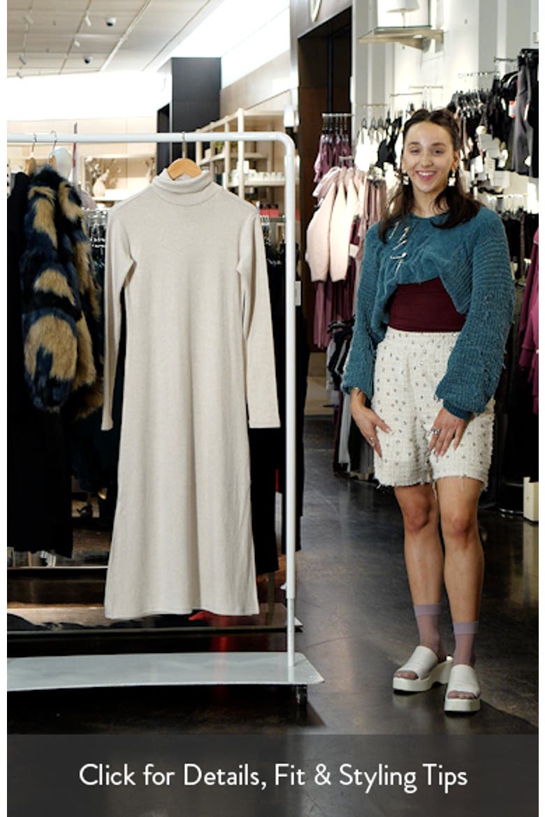 Rylee Turtleneck Long Sleeve Dress video