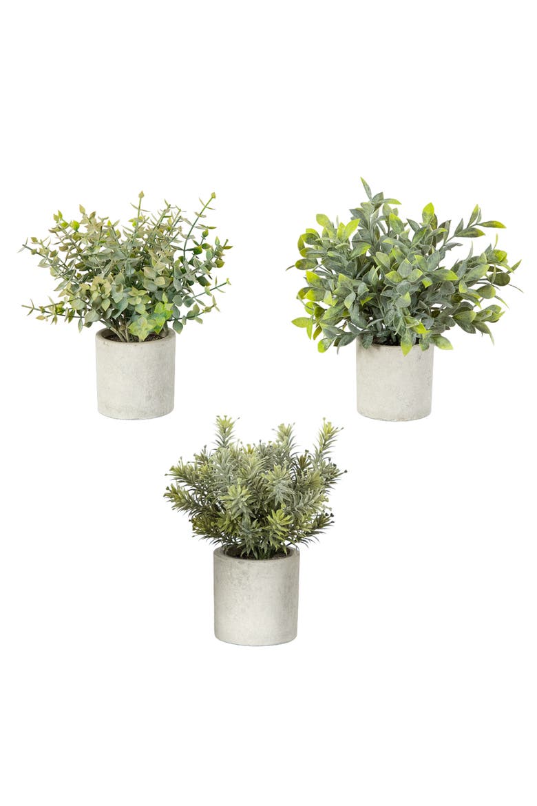 8-in Artificial Mini Eucalyptus Potted Plants - Set of 3, Main, color, Green