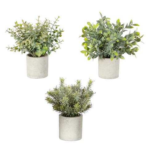 8-in Artificial Mini Eucalyptus Potted Plants - Set of 3