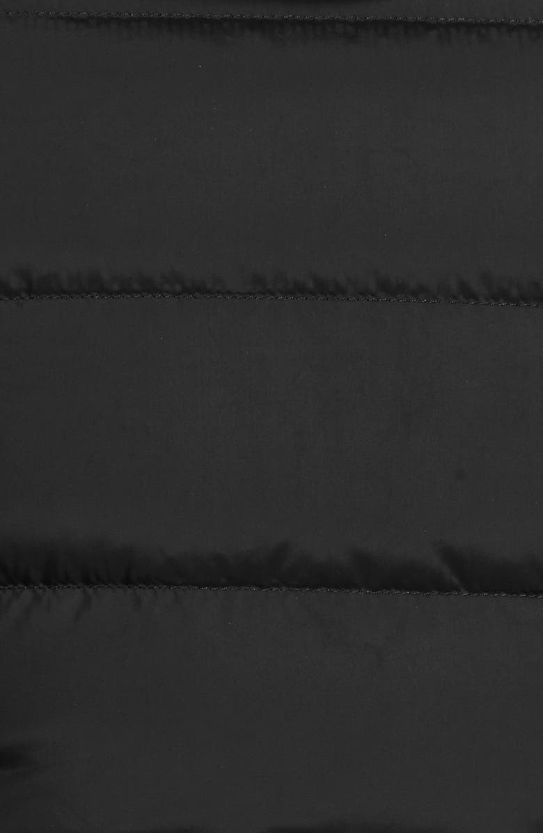 The North Face 'Gotham' Down Parka, Alternate, color, 