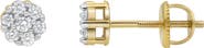 LuvMyJewelry Lab Grown Diamond Cluster Stud Earrings