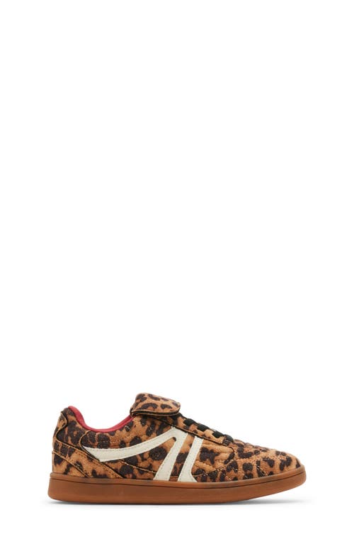 Steve Madden Jmadridd Sneaker In Leopard
